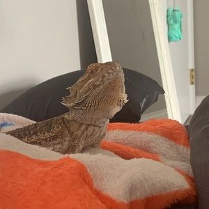 Meet your Posher, Jasmine